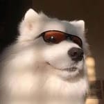 Hernán Barrios avatar